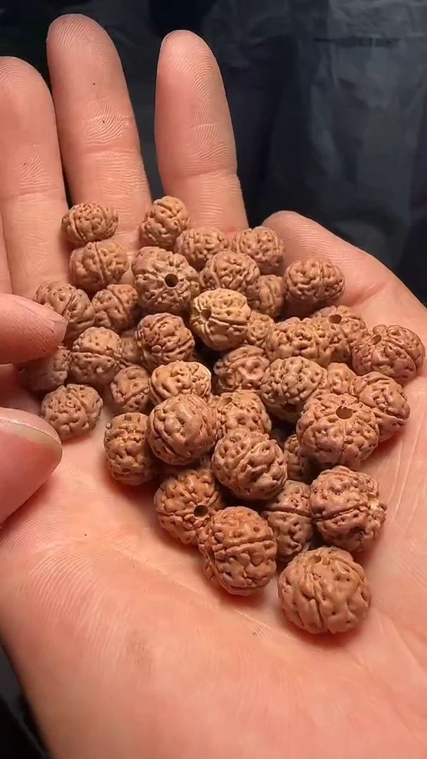 金刚菩提手串非全品老树王散籽10-11mm一份一百颗