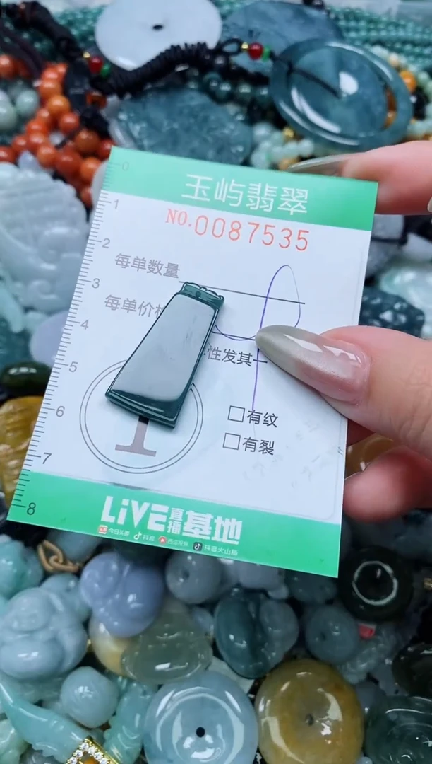 【闪购商品】翡翠颈饰未镶嵌闪购0087535