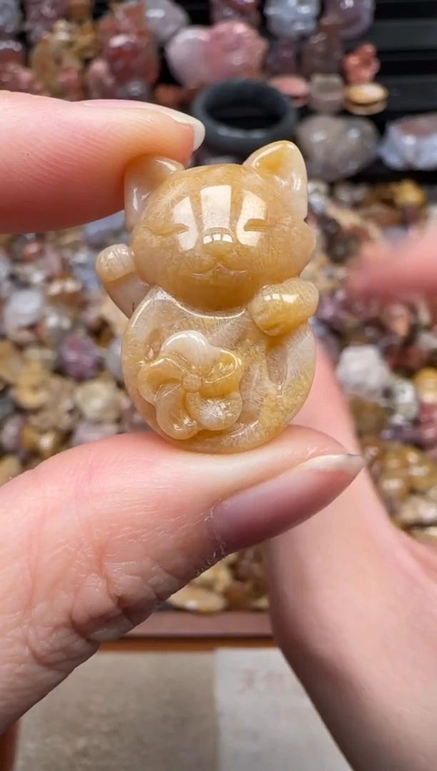 颈饰未镶嵌硅化珊瑚（珊瑚玉）272