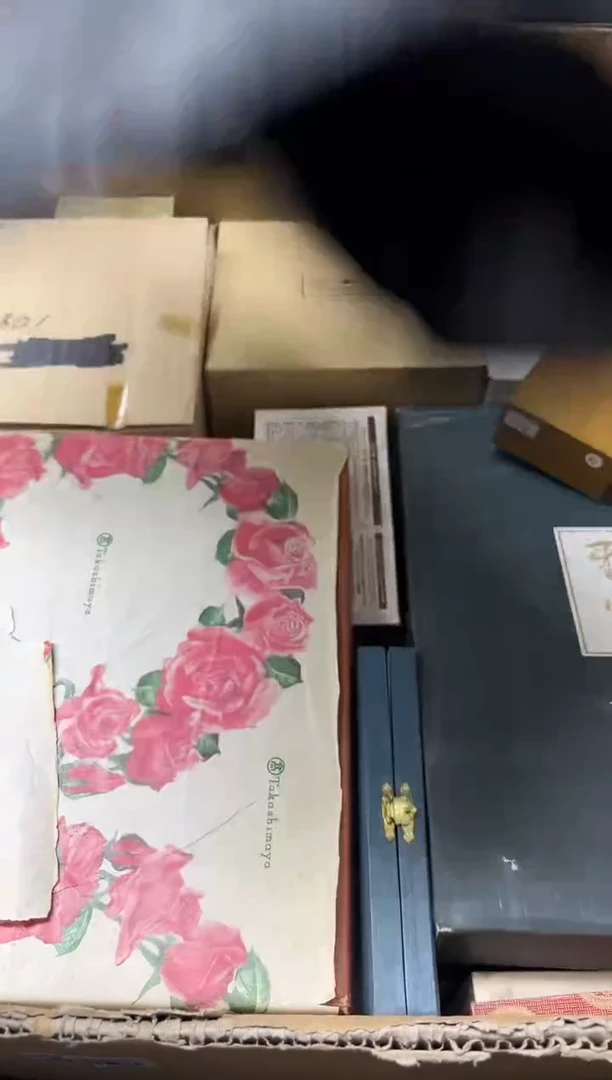 瓷片金**辉 219金色光辉