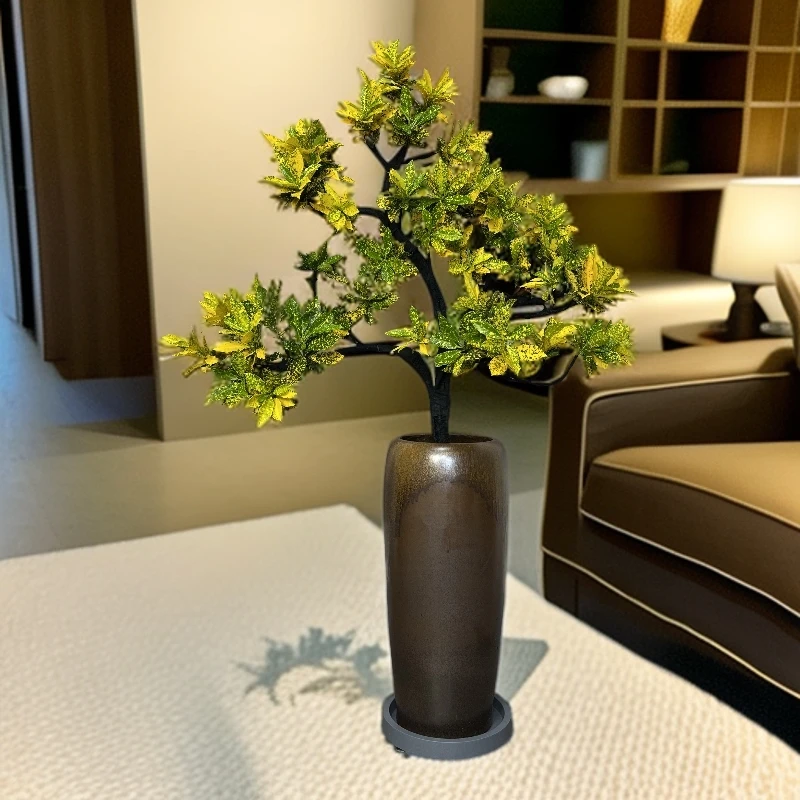 【造型洒金榕】室内客厅好养净化空气大型客厅绿植