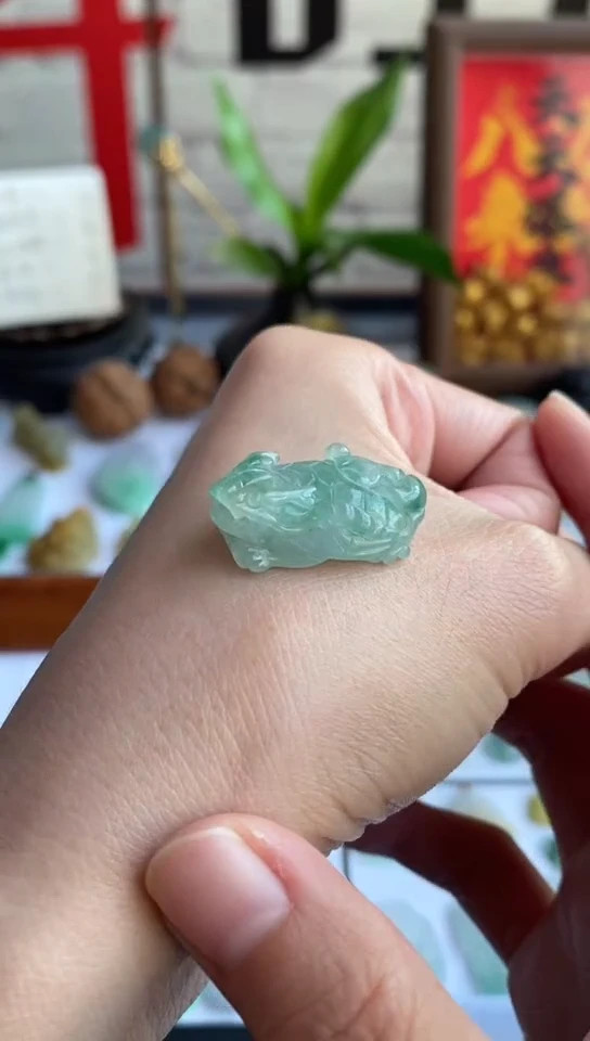 颈饰未镶嵌翡翠龙龟~