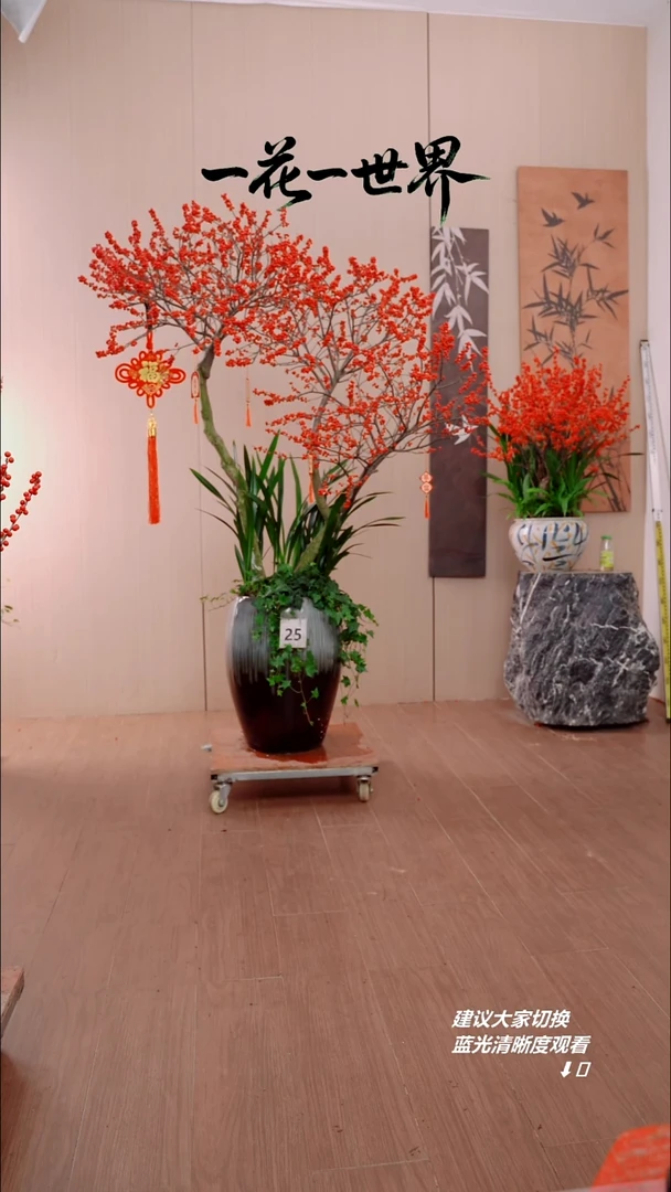 完全开放李*掌北美冬青链接