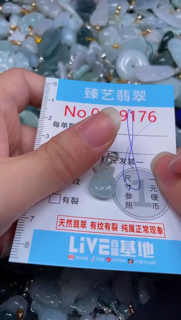 吊坠(不含链)未镶嵌翡翠9176