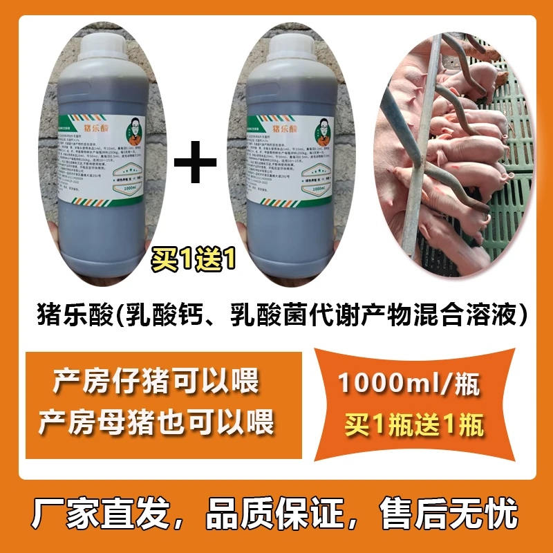 猪乐酸1L（买1送1）-乳酸菌乳酸钙混合溶液-产房仔猪-养殖必备