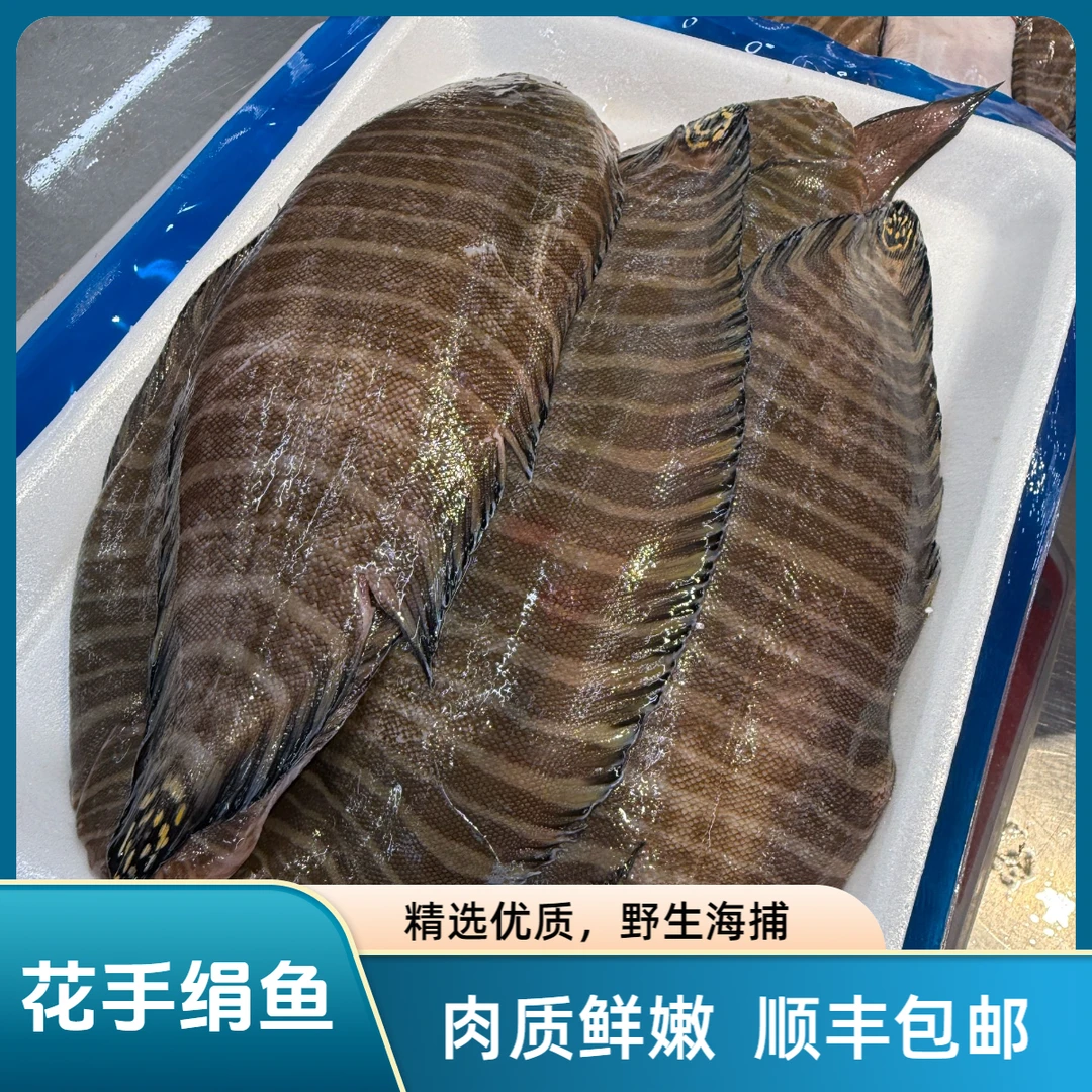 渤海湾本海野生 花手绢鱼  肉质鲜嫩，小白蒜瓣肉【顺丰包邮】