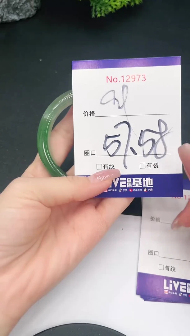 未镶嵌手镯翡翠12973