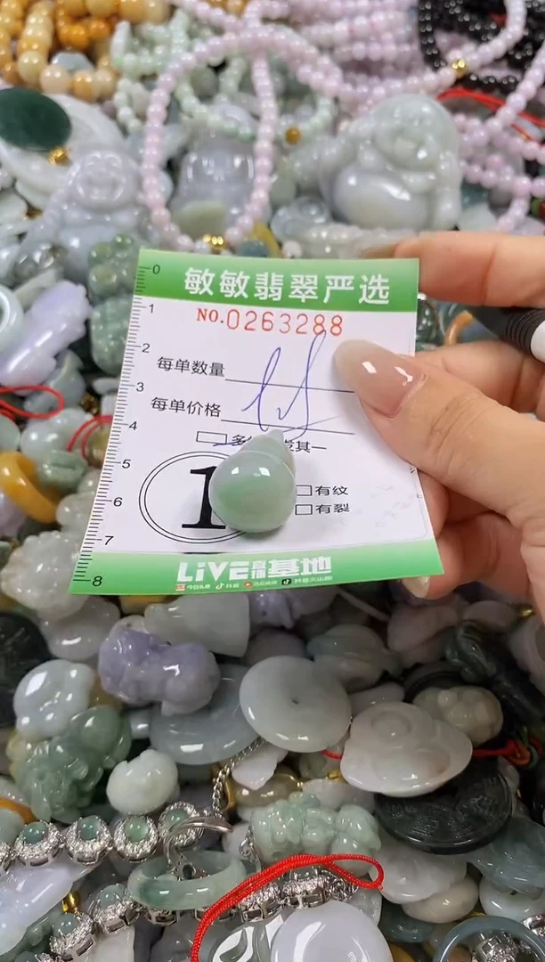 翡翠未镶嵌颈饰闪购0263288多样性发其一