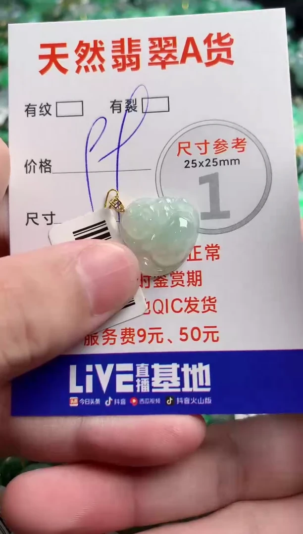 翡翠18K金镶嵌颈饰14000861