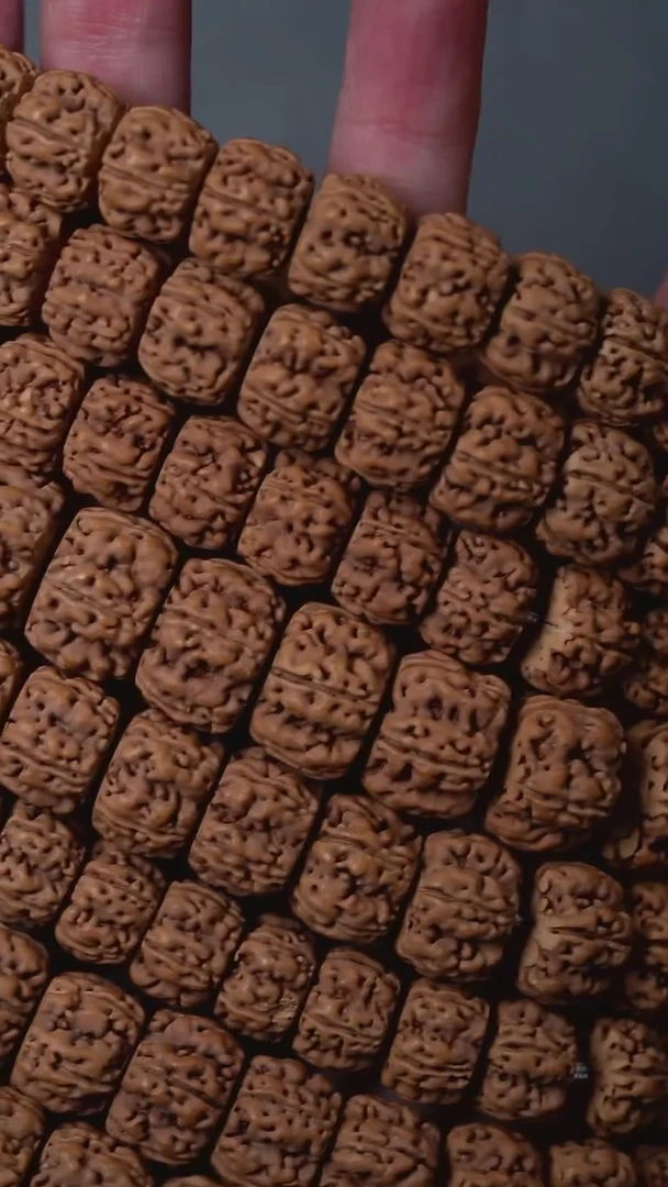 手串金刚菩提S01粗筋盘龙单圈