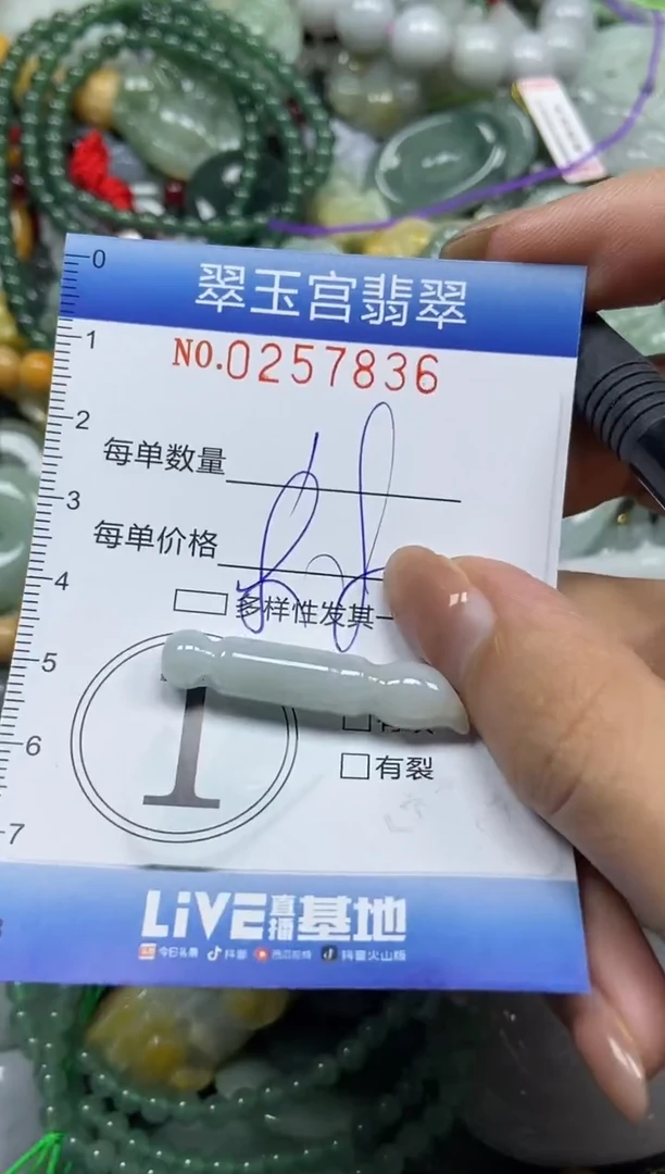 颈饰未镶嵌翡翠闪购C0257836