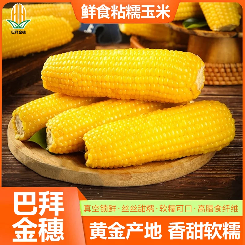 巴拜金穗2025年东北源头厂家直销黄糯玉米280g*8支，软糯香甜
