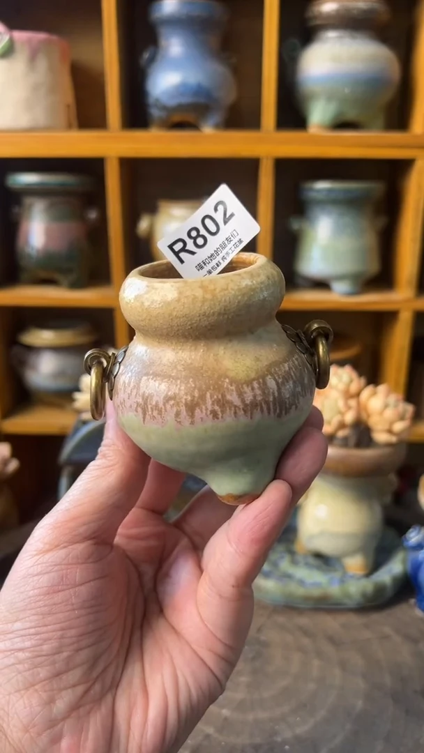 802 内口4【多肉花盆多肉盆】