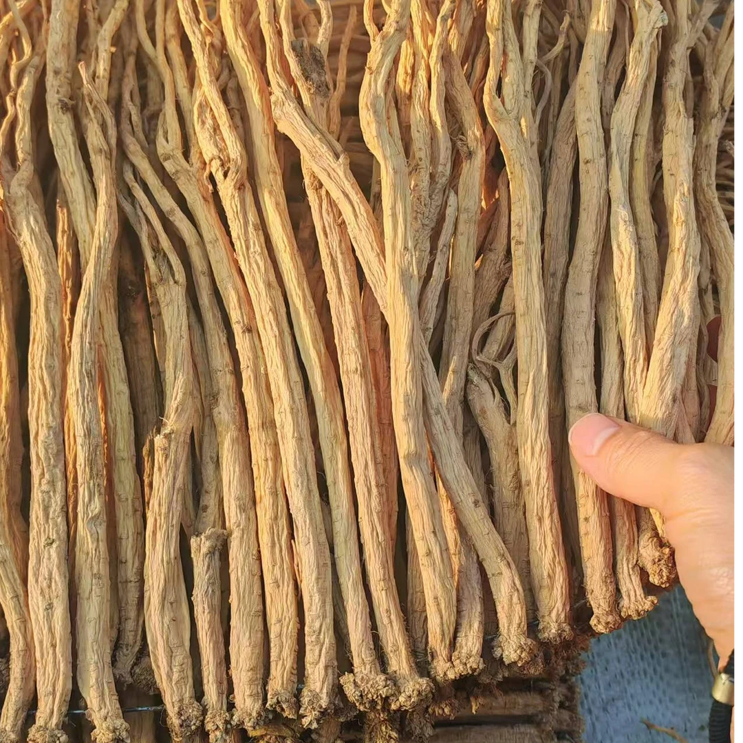 甘肃无硫党参特级大条自然晾晒煲汤滋补佳品