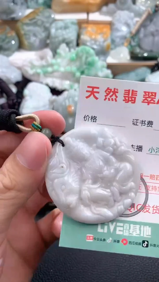 翡翠未镶嵌颈饰1