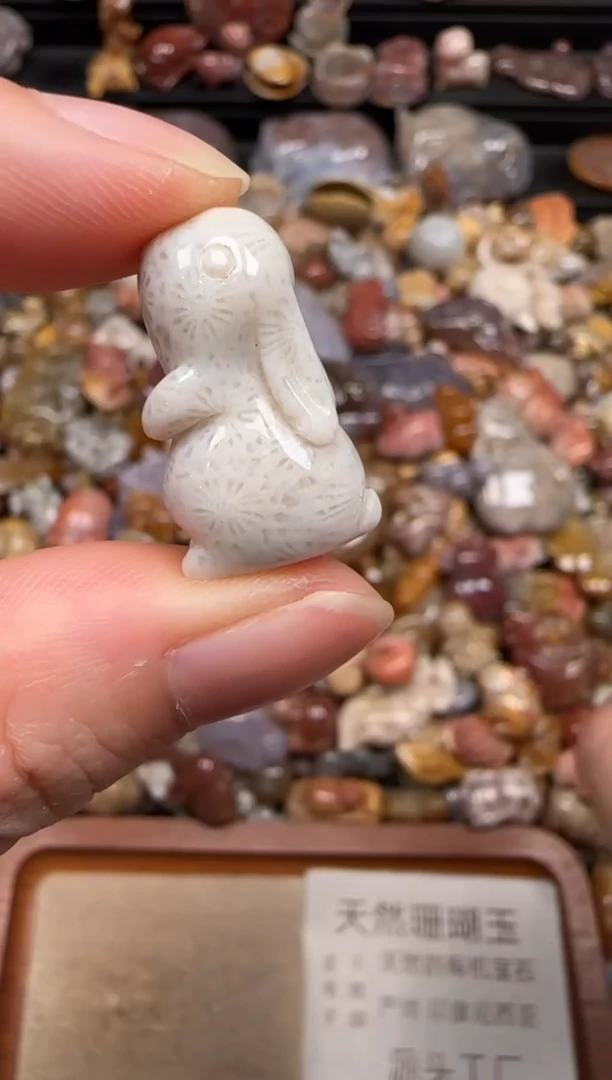 硅化珊瑚（珊瑚玉）未镶嵌颈饰004
