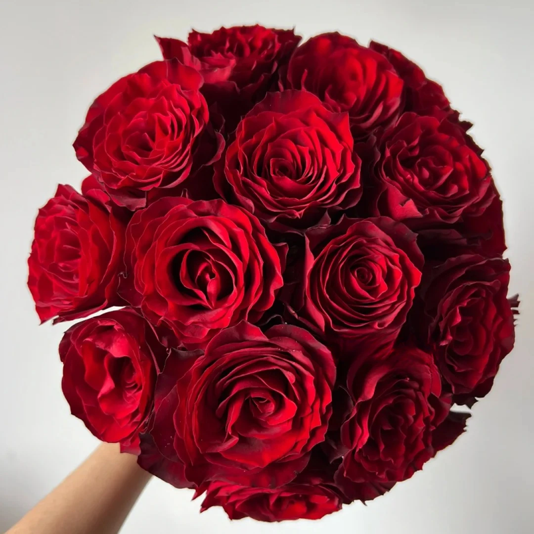 单头高原红玫瑰高原红玫瑰云南基地直发顺丰