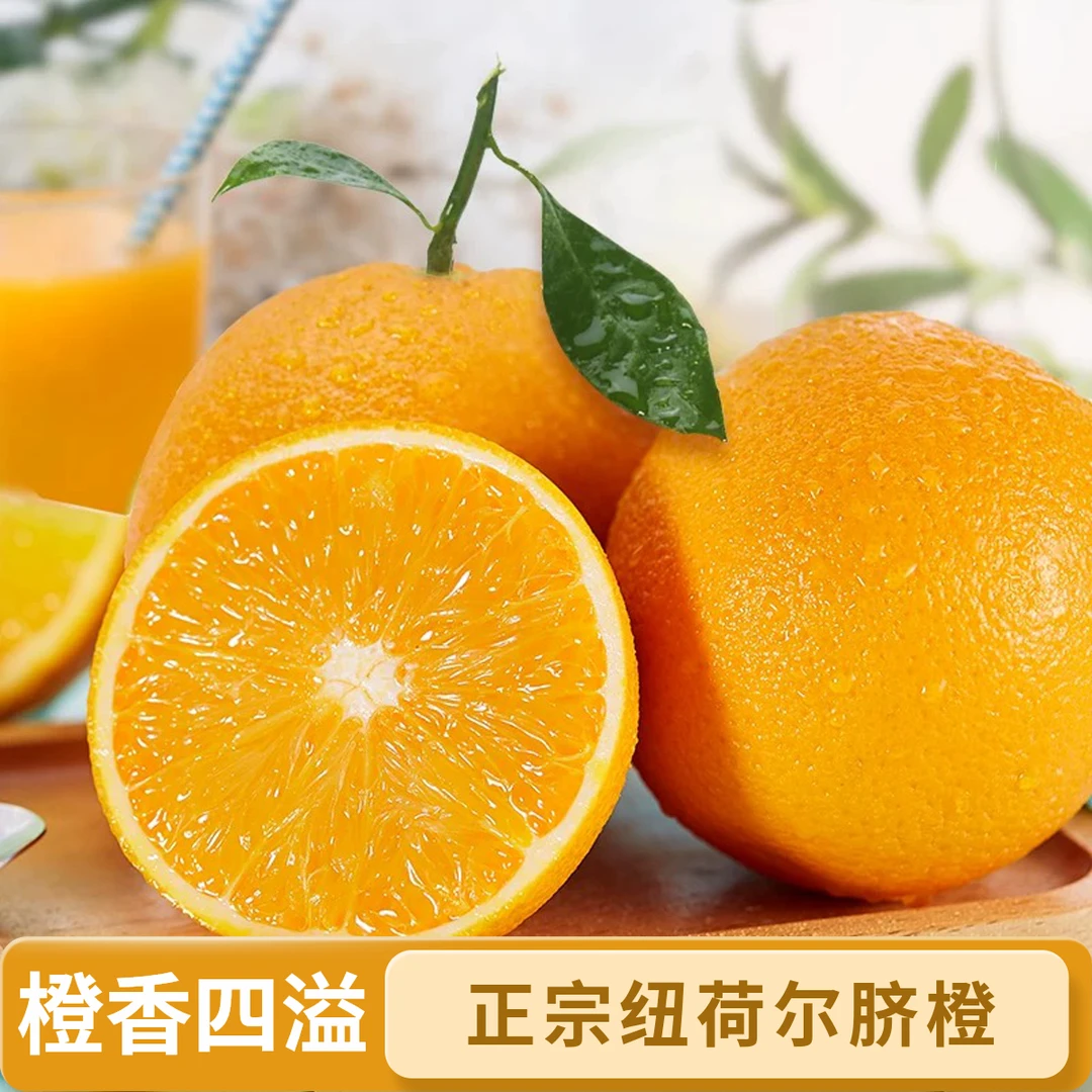 正宗高山脐橙新鲜采摘发货农家橙子产地直发纽荷尔