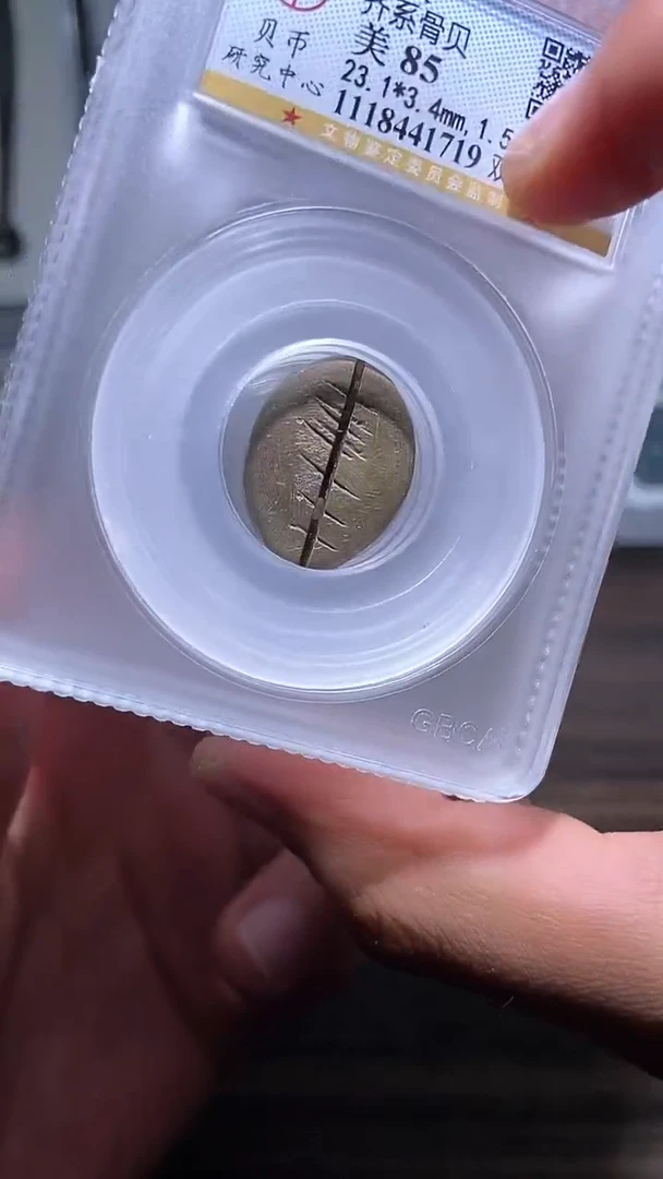 铜历代 骨贝骨贝一枚