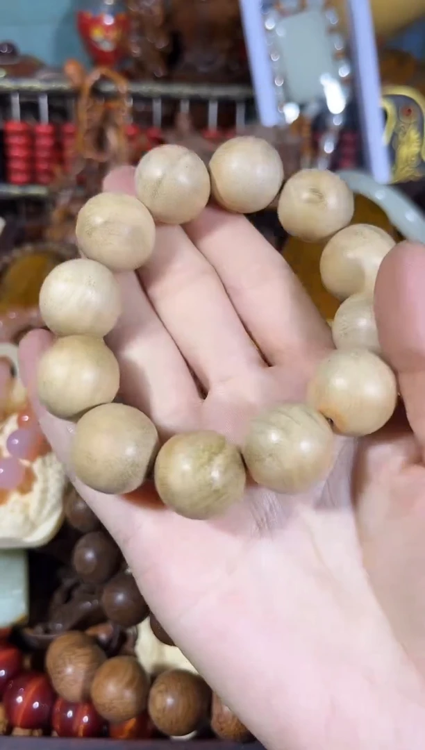 黄杨木11111111111111111111