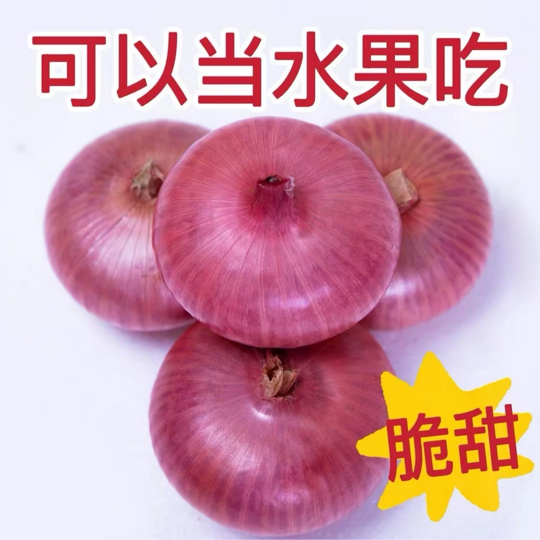 （现挖现发）2025新鲜扁平水果洋葱可生吃凉拌微辣鲜洋葱5斤