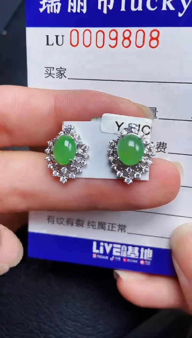 翡翠银S925镶嵌颈饰9808