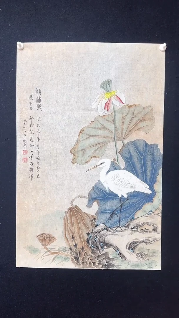 【闪购商品】国画工笔花鸟白鹭