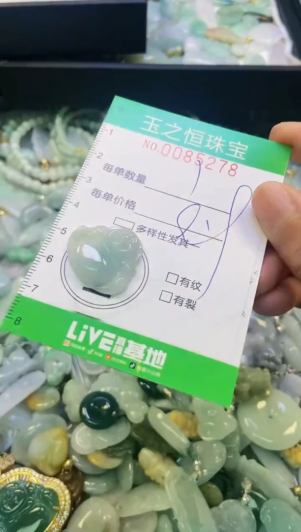 翡翠未镶嵌颈饰闪购0085278