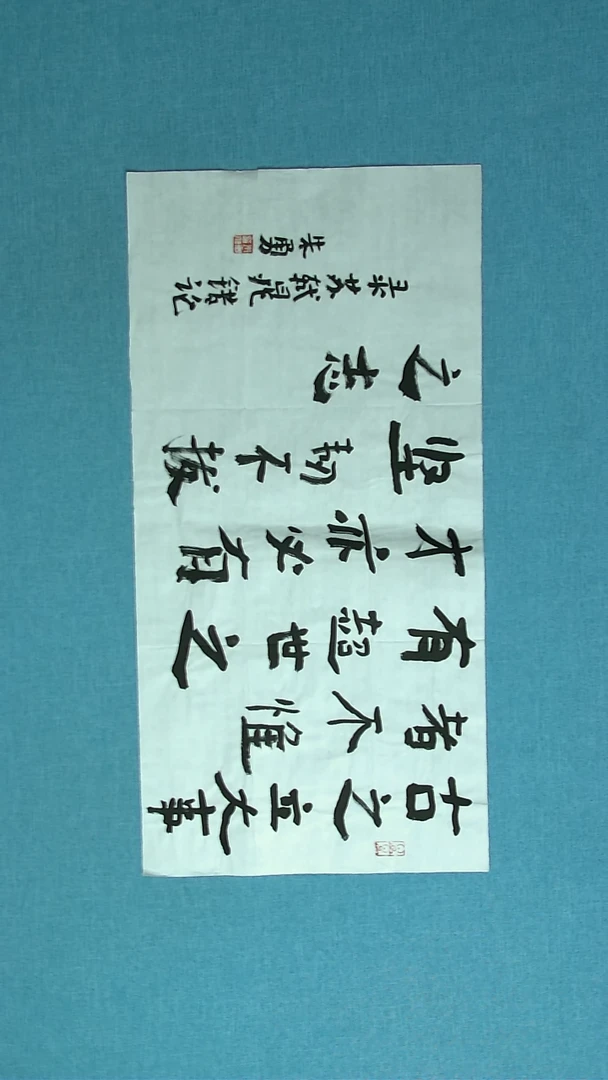 【闪购商品】书法204 安徽朱勇中书协69*34