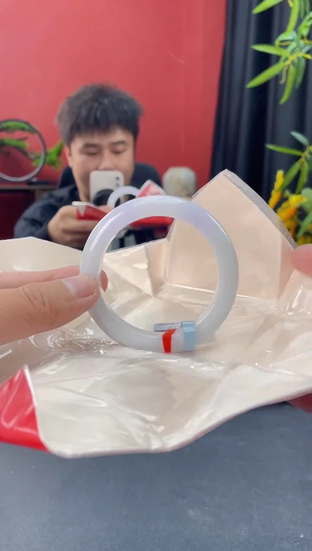 未镶嵌手镯翡翠9