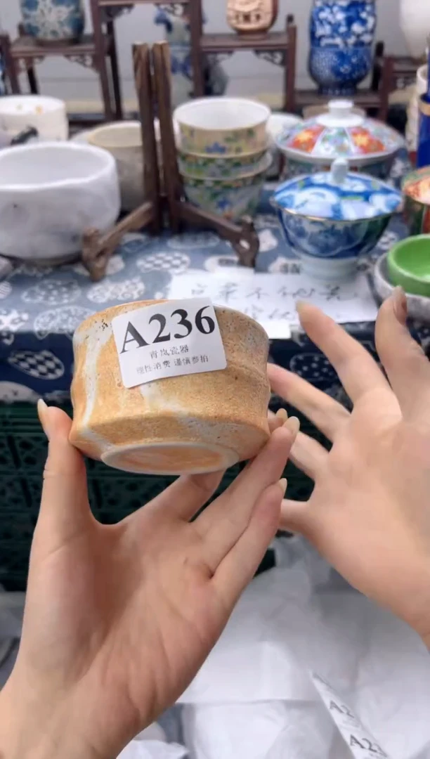 瓷片ঞ****༻    A236