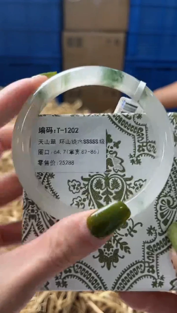 未镶嵌手镯石英质玉T1202