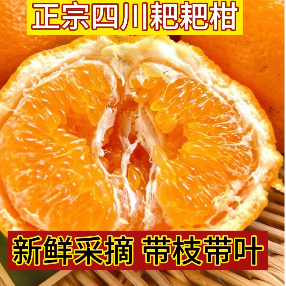 【爆浆耙耙柑】四川春见耙耙柑新鲜采摘果园直发应季水果