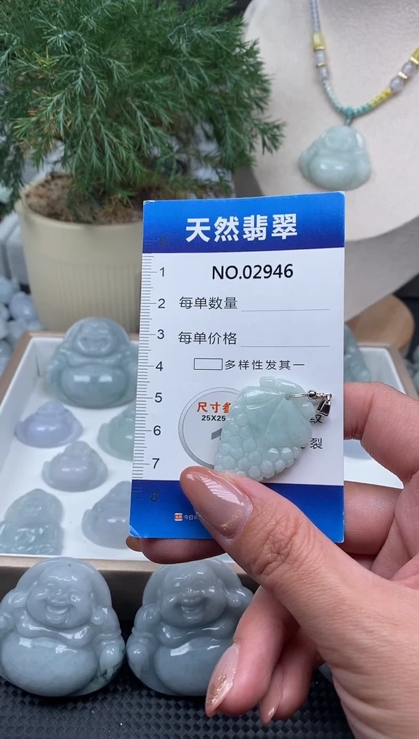 颈饰未镶嵌翡翠纯天然A货缅翡