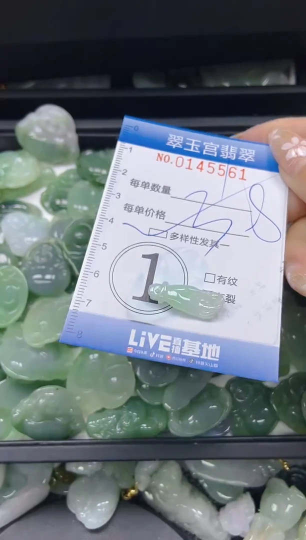 翡翠未镶嵌颈饰闪购0145560