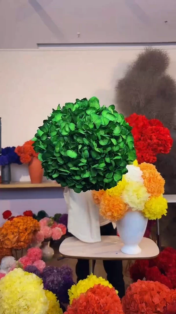 S级 吸色永生大叶绣球3枝 绿