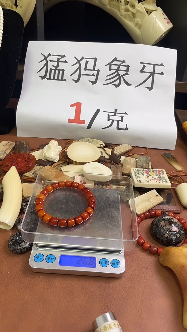 猛犸猪肝红10*9直切单圈