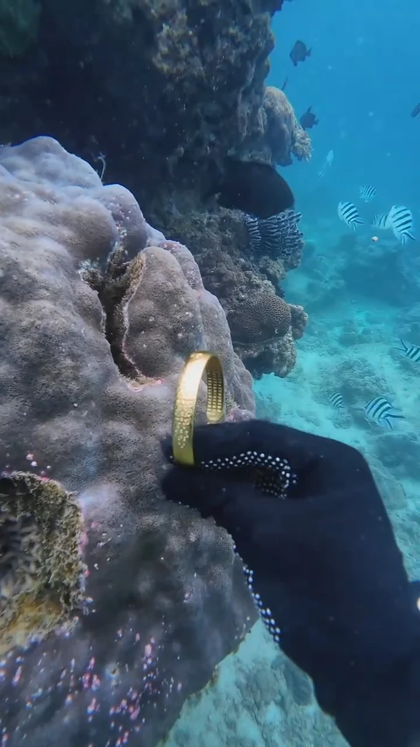 无合金海底寻宝孤品手镯一个