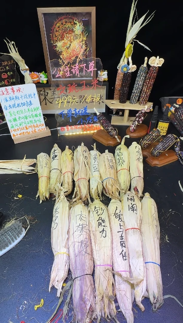 痴*乘红红火火恍恍惚惚哈哈哈哈