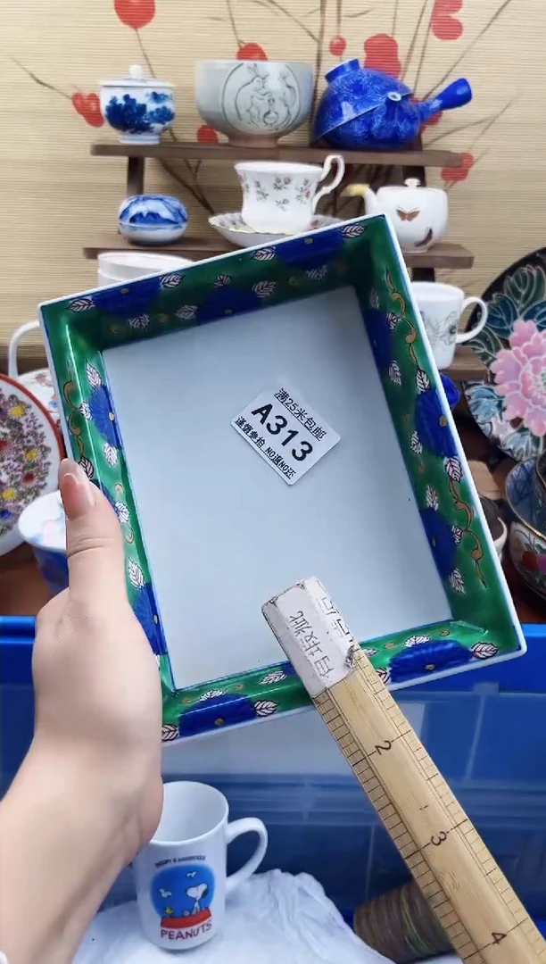 【闪购商品】a313==============