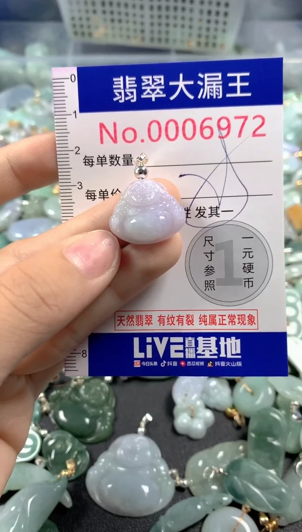 颈饰未镶嵌翡翠6972