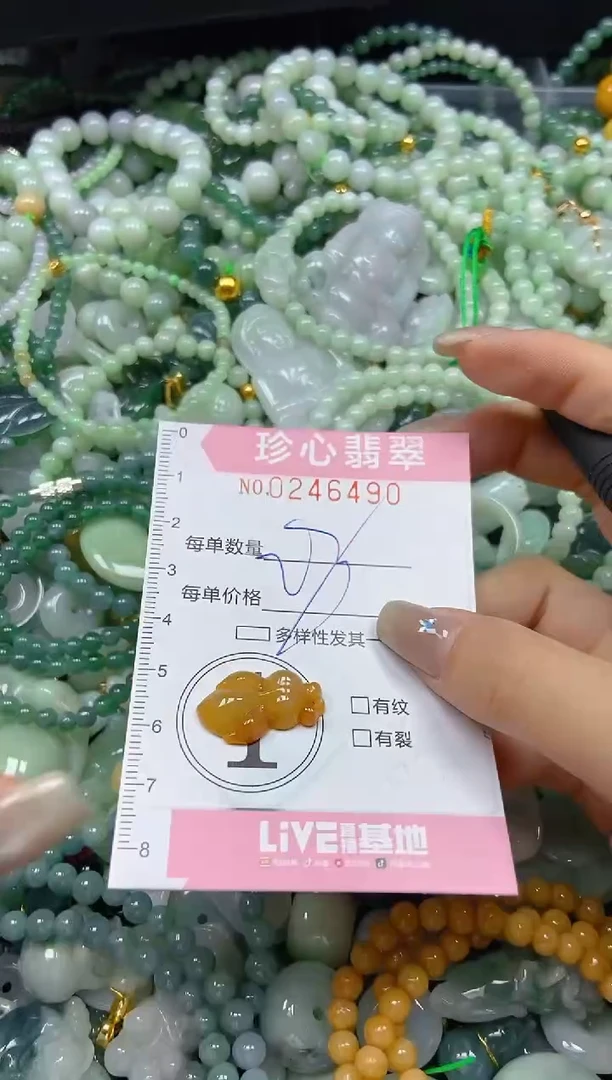 翡翠未镶嵌颈饰闪购0246490多样性发其一