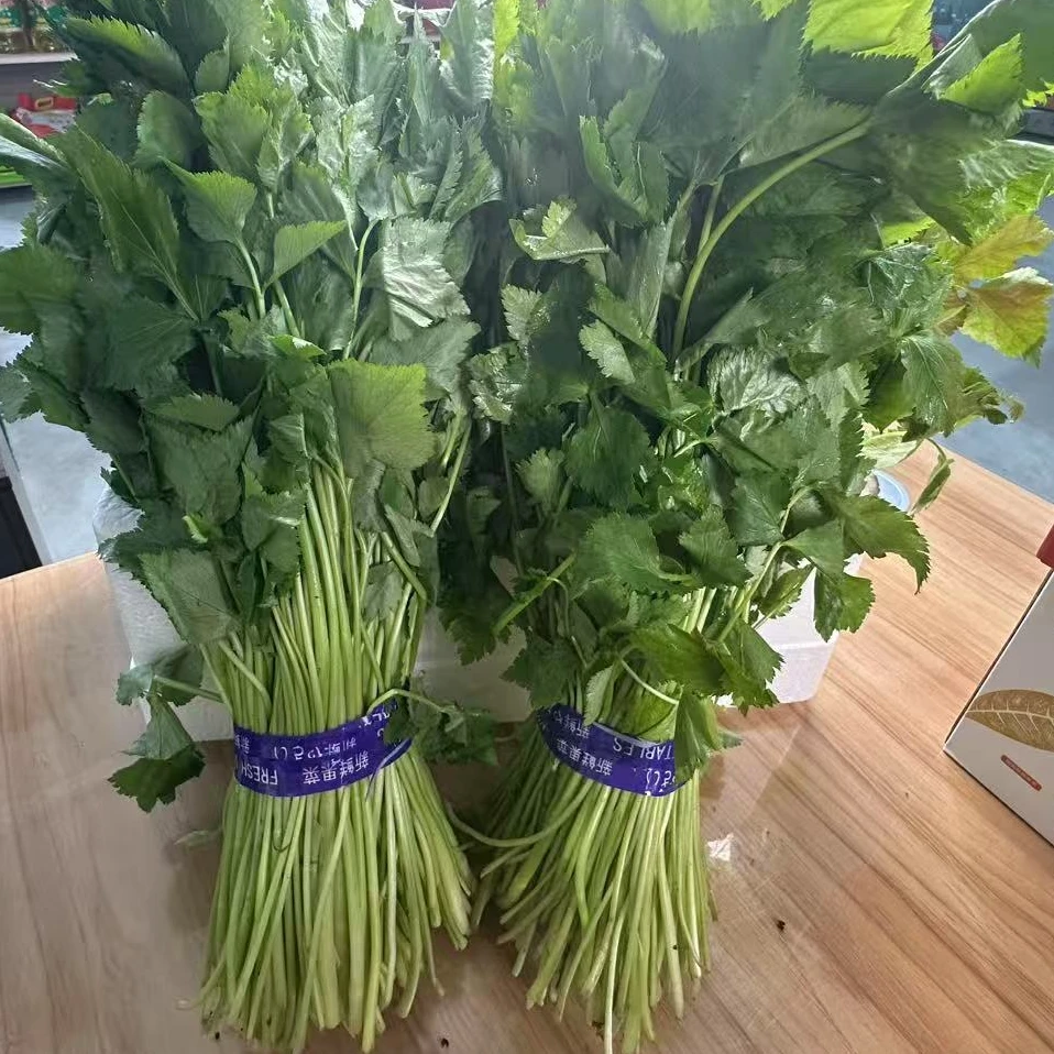 山野菜大叶芹一盒两斤左右无公害新鲜蔬菜优质农产品