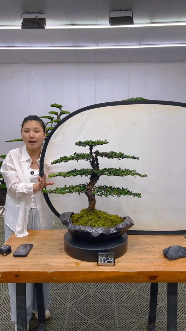 无花朵一物一拍一物一拍