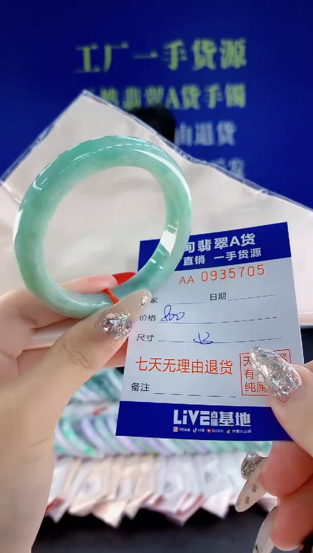 未镶嵌手镯翡翠05