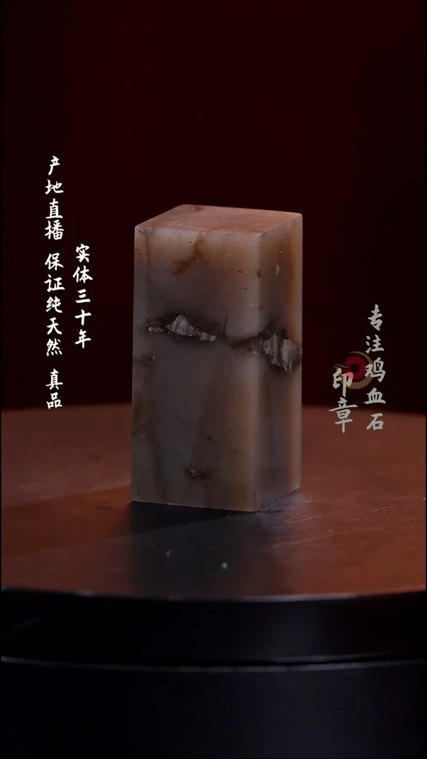 昌化石精美水墨冻印章