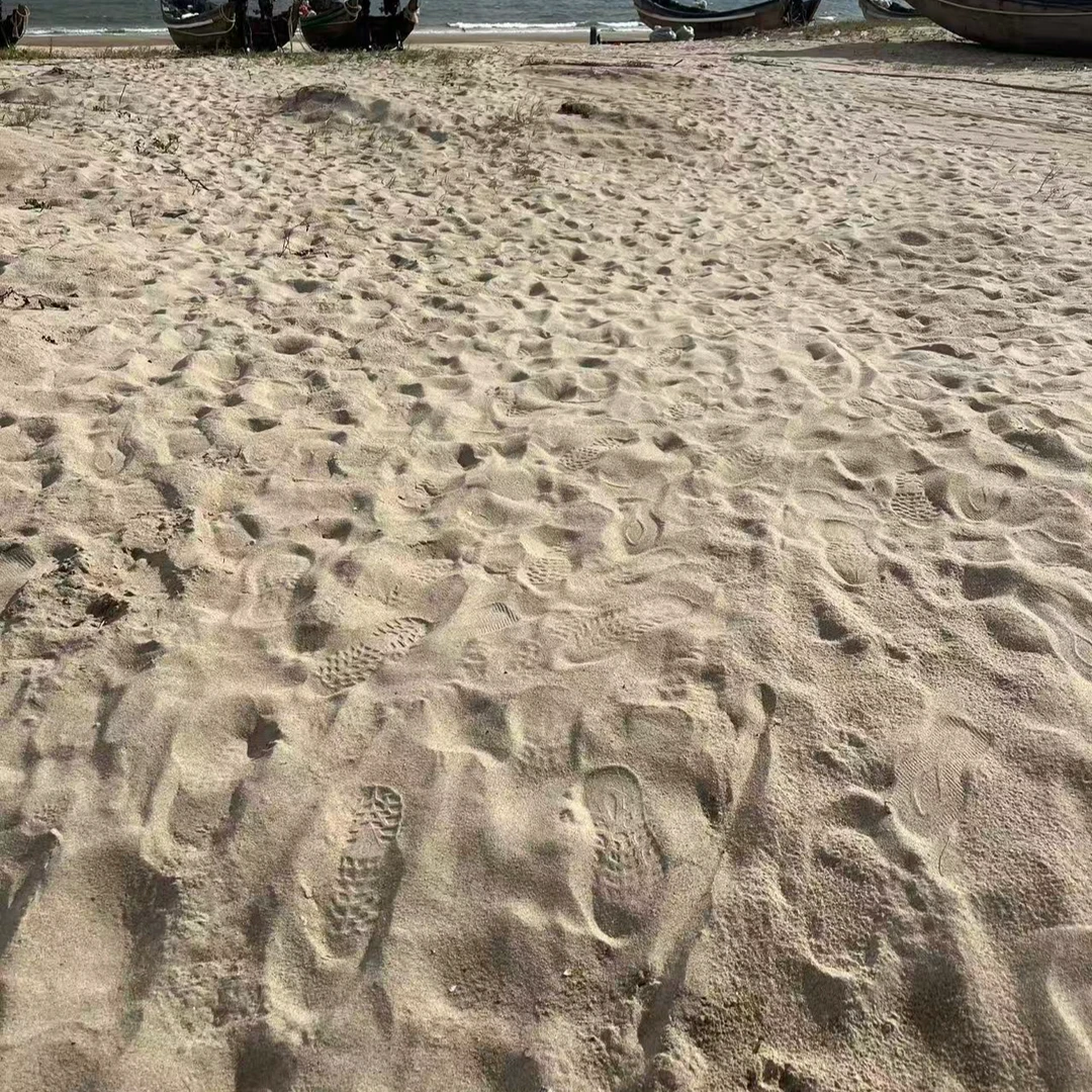 沙蟹专用海沙底沙饲养箱专用