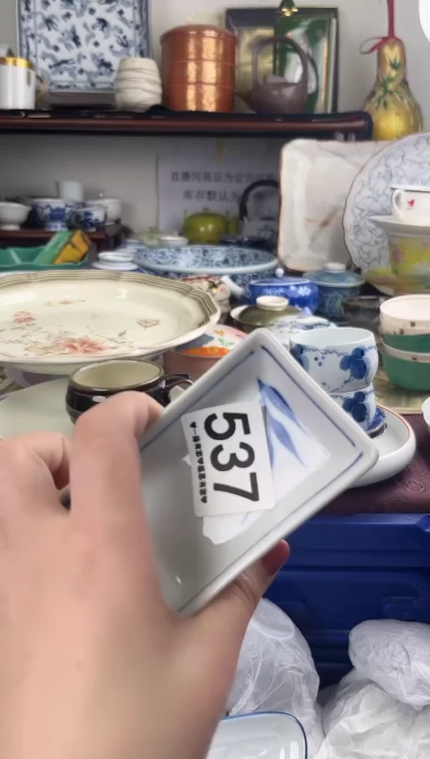 瓷片537..............