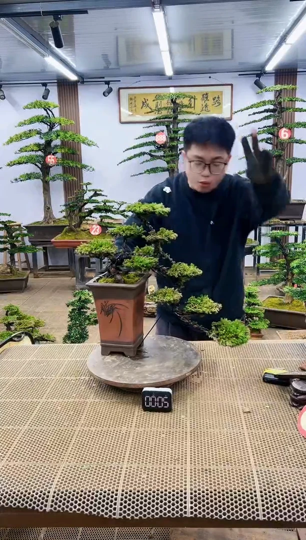 【闪购商品】一物一拍，所见即所得