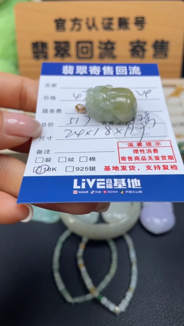 颈饰18K金镶嵌翡翠10152451